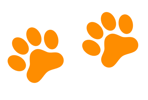 Leopard paw print icon representing Wilpattu wildlife safaris in Sri Lanka.