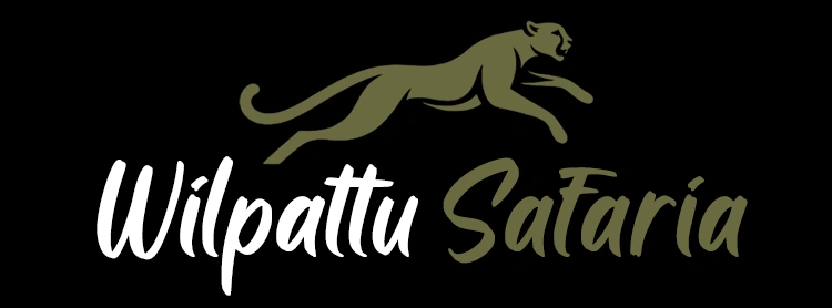 Wilpattu Safaria logo featuring a Sri Lankan leopard for private wildlife safari tours in Wilpattu National Park, Sri Lanka.